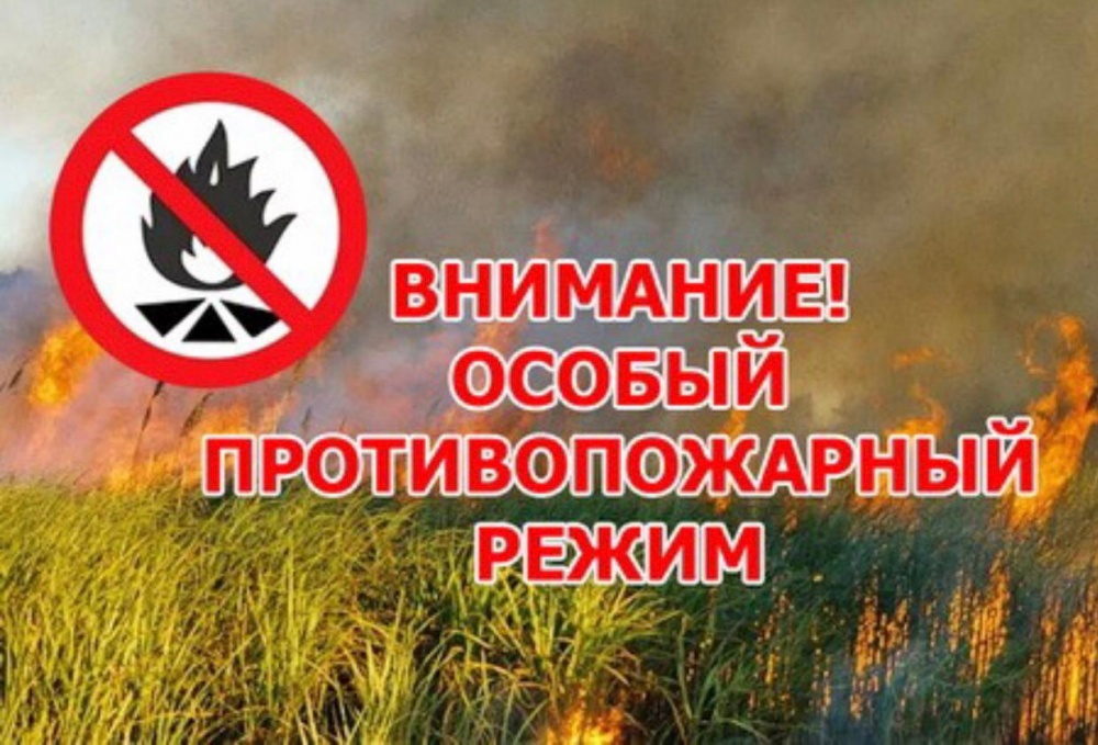 9.04.2024 г в Курской области состоялось заседание комиссии по предупреждению и ликвидации чрезвычайных ситуаций и обеспечению пожарной безопасности.